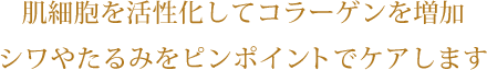 コラーゲンを増加して若い肌へ