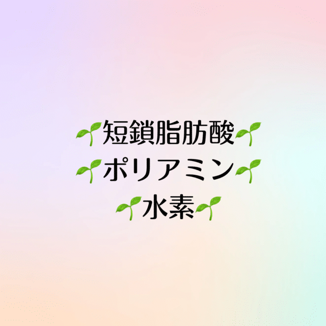 腸と腸内細菌が作るもの『短鎖脂肪酸』『ポリアミン』『水素』